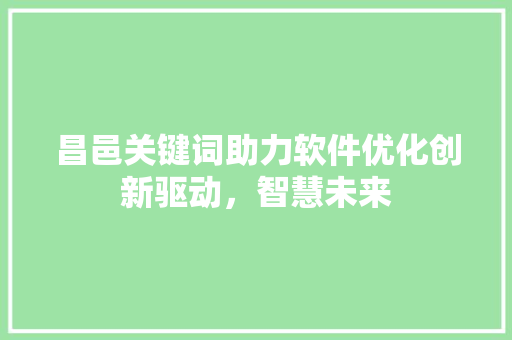 昌邑关键词助力软件优化创新驱动，智慧未来