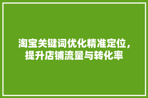 淘宝关键词优化精准定位，提升店铺流量与转化率
