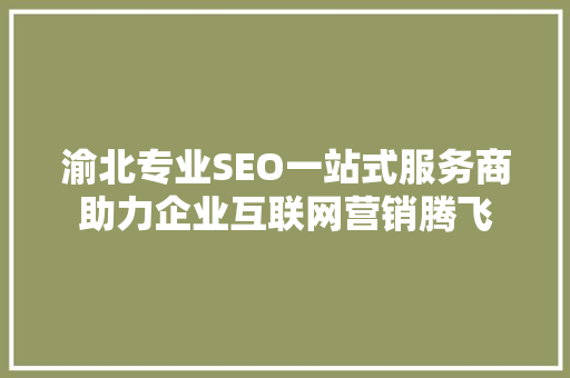 渝北专业SEO一站式服务商助力企业互联网营销腾飞 服务器/数据库