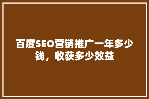 百度SEO营销推广一年多少钱，收获多少效益