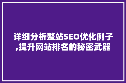 详细分析整站SEO优化例子,提升网站排名的秘密武器