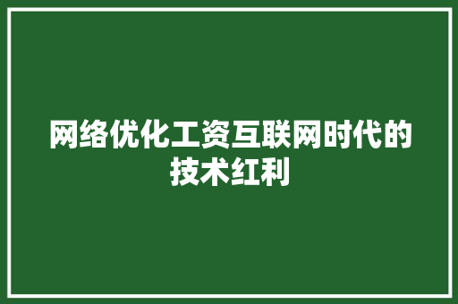 网络优化工资互联网时代的技术红利 建站教程