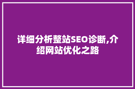 详细分析整站SEO诊断,介绍网站优化之路