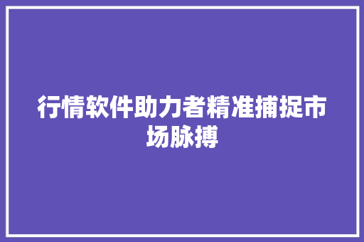 行情软件助力者精准捕捉市场脉搏