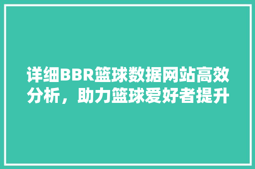 详细BBR篮球数据网站高效分析，助力篮球爱好者提升竞技水平 WordPress教程