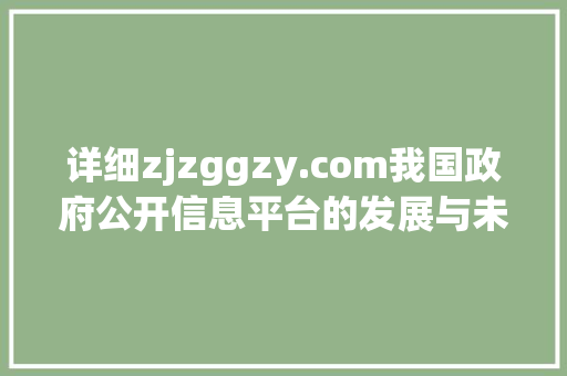 详细zjzggzy.com我国政府公开信息平台的发展与未来