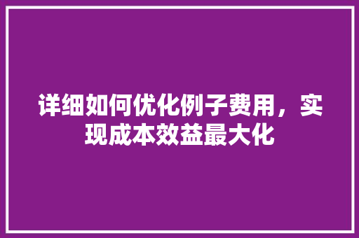 详细如何优化例子费用，实现成本效益最大化