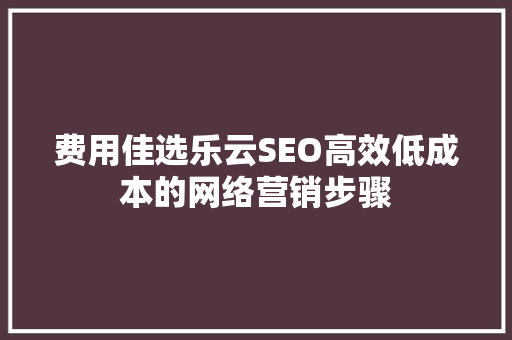 费用佳选乐云SEO高效低成本的网络营销步骤