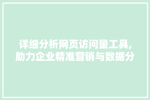 详细分析网页访问量工具,助力企业精准营销与数据分析