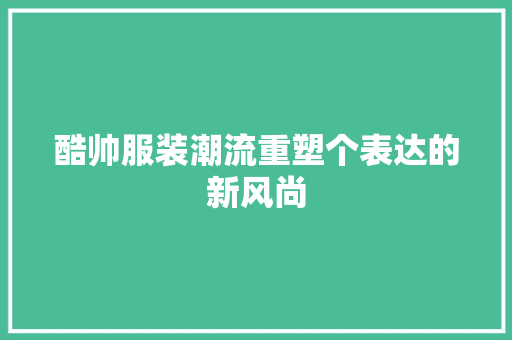 酷帅服装潮流重塑个表达的新风尚 WordPress教程