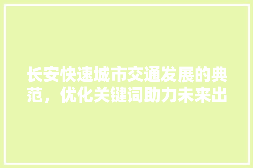 长安快速城市交通发展的典范，优化关键词助力未来出行