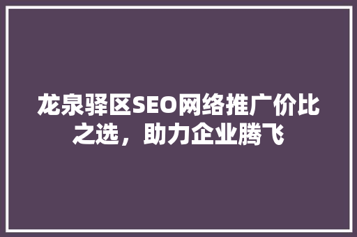龙泉驿区SEO网络推广价比之选，助力企业腾飞