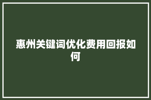 惠州关键词优化费用回报如何