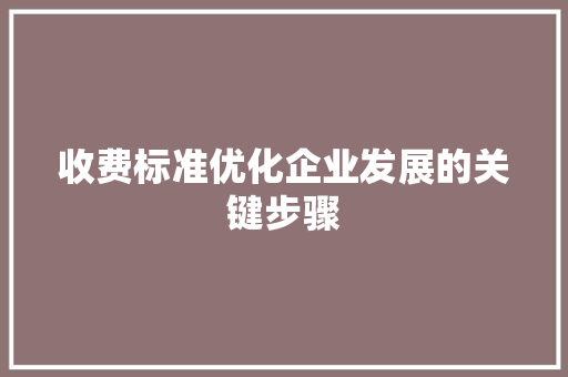 收费标准优化企业发展的关键步骤