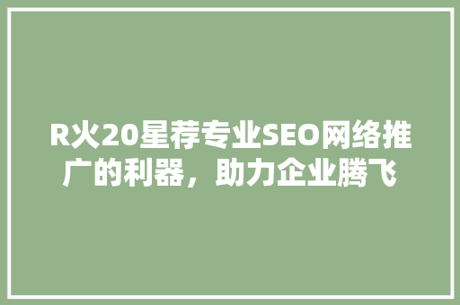 R火20星荐专业SEO网络推广的利器，助力企业腾飞