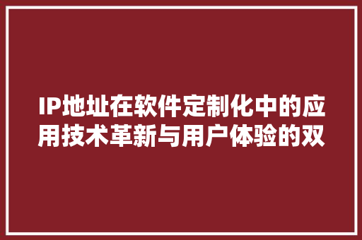 IP地址在软件定制化中的应用技术革新与用户体验的双重提升