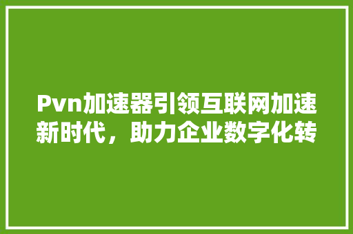 Pvn加速器引领互联网加速新时代，助力企业数字化转型