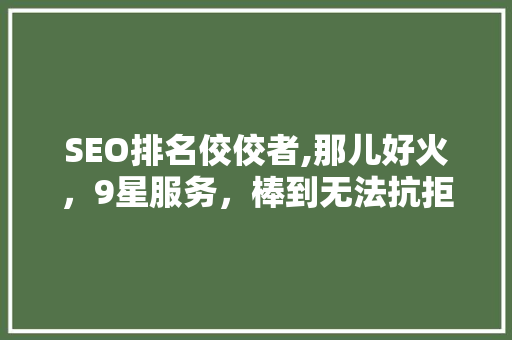 SEO排名佼佼者,那儿好火，9星服务，棒到无法抗拒