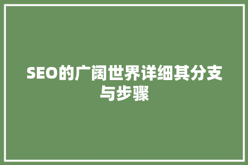 SEO的广阔世界详细其分支与步骤 友链在线