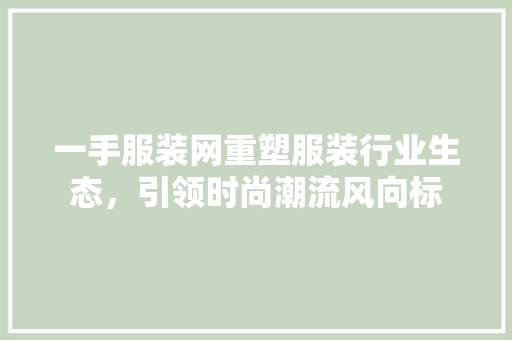 一手服装网重塑服装行业生态，引领时尚潮流风向标 WordPress教程