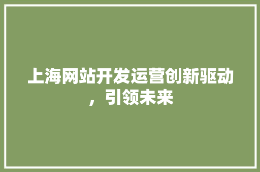 上海网站开发运营创新驱动，引领未来 Web前端