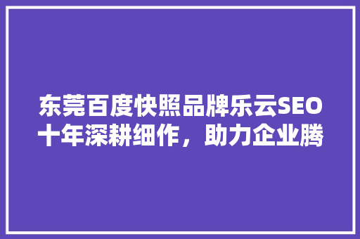 东莞百度快照品牌乐云SEO十年深耕细作，助力企业腾飞 建站教程