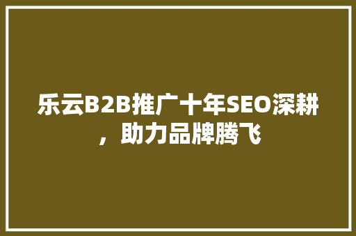 乐云B2B推广十年SEO深耕，助力品牌腾飞 建站教程