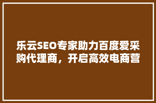 乐云SEO专家助力百度爱采购代理商，开启高效电商营销新篇章
