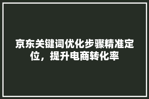 京东关键词优化步骤精准定位，提升电商转化率 SEO教程