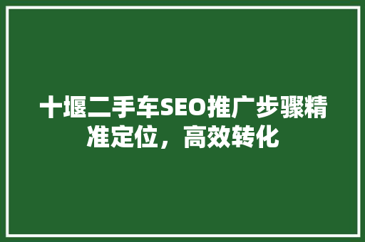 十堰二手车SEO推广步骤精准定位，高效转化 Web前端