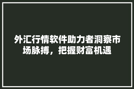 外汇行情软件助力者洞察市场脉搏，把握财富机遇