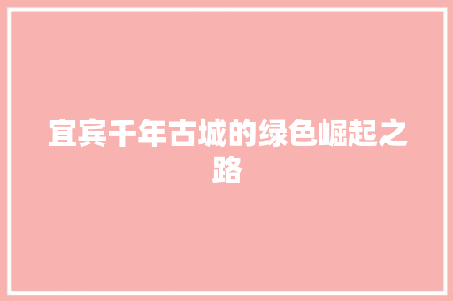 宜宾千年古城的绿色崛起之路 建站教程
