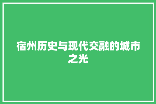 宿州历史与现代交融的城市之光 友链在线