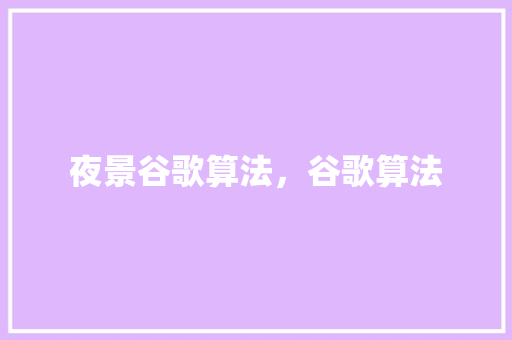 夜景谷歌算法，谷歌算法