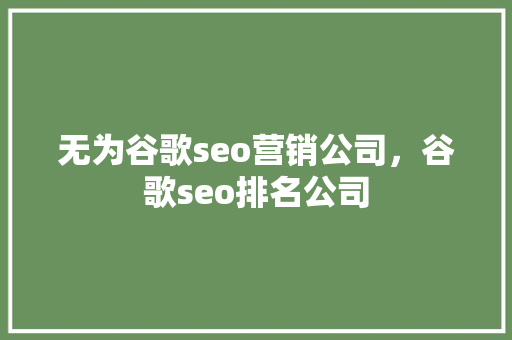 无为谷歌seo营销公司，谷歌seo排名公司