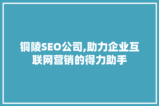 铜陵SEO公司,助力企业互联网营销的得力助手