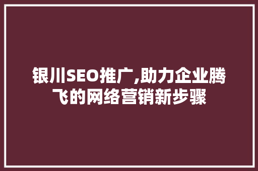 银川SEO推广,助力企业腾飞的网络营销新步骤