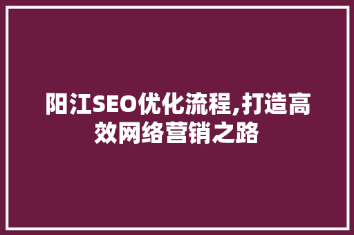 阳江SEO优化流程,打造高效网络营销之路