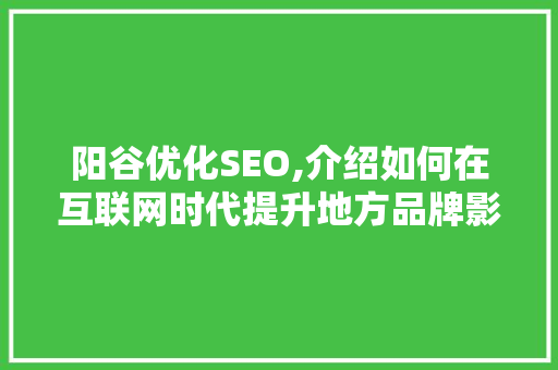 阳谷优化SEO,介绍如何在互联网时代提升地方品牌影响力