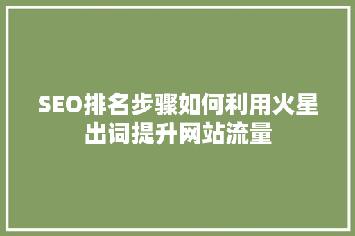 SEO排名步骤如何利用火星出词提升网站流量
