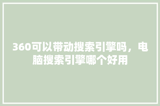 360可以带动搜索引擎吗，电脑搜索引擎哪个好用