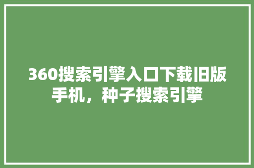 360搜索引擎入口下载旧版手机，种子搜索引擎