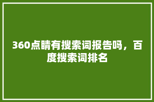 360点睛有搜索词报告吗，百度搜索词排名