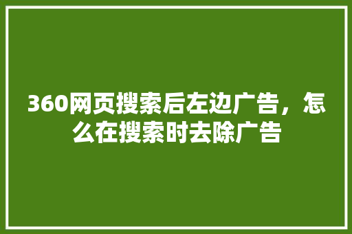 360网页搜索后左边广告，怎么在搜索时去除广告