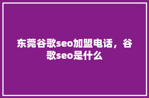 东莞谷歌seo加盟电话，谷歌seo是什么