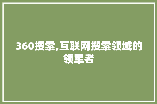 360搜索,互联网搜索领域的领军者