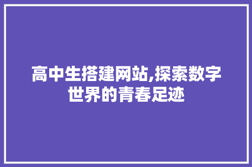 高中生搭建网站,探索数字世界的青春足迹