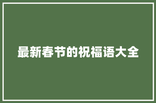 B站SEO工具,助力内容创作者提升视频流量，掌握视频平台营销之路
