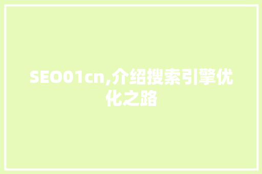 SEO01cn,介绍搜索引擎优化之路