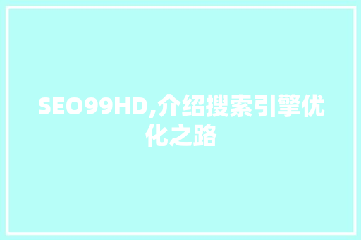 SEO99HD,介绍搜索引擎优化之路